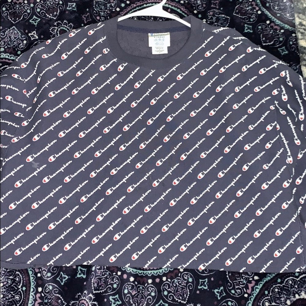 Champion sweater crop